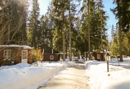 Парк-отель Руза Форест - 3