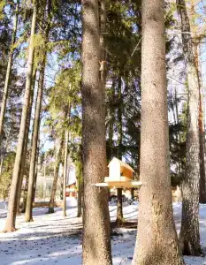 Парк-отель Руза Форест - 5