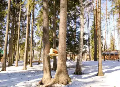 Парк-отель Руза Форест - 6