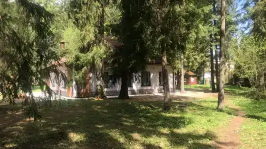 Парк-отель Руза Форест - 15