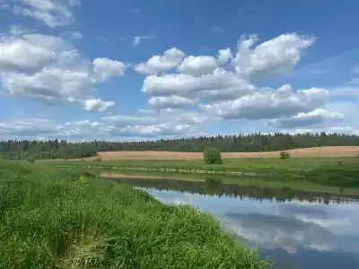 Парк-отель Руза Форест - 31
