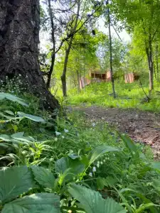 Парк-отель Руза Форест - 35