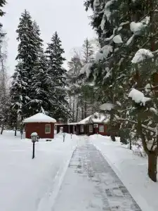 Парк-отель Руза Форест - 43