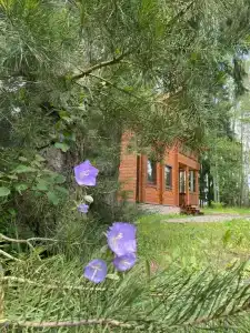 Парк-отель Руза Форест - 65