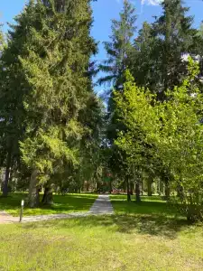 Парк-отель Руза Форест - 67