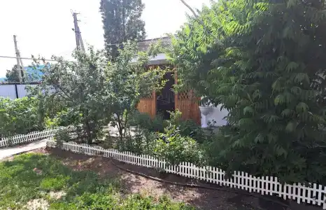Ольга - 22