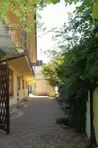 Анна-Тереза - 3