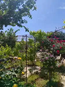 Вилла Лаура - 4