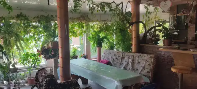 Черная лошадь - 29