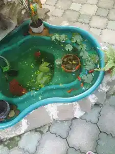 Натали - 18