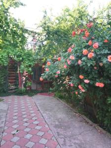 Виктория - 104