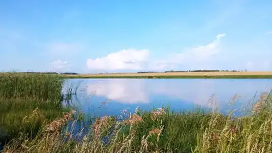 Аркаимские просторы - 6