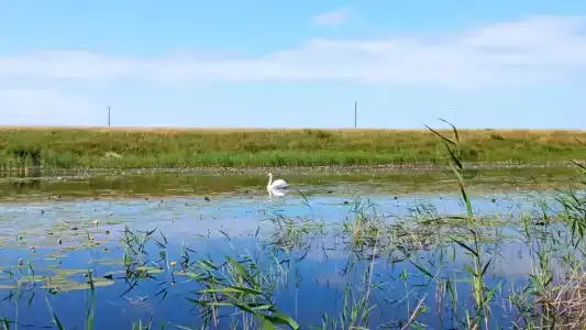 Аркаимские просторы - 11