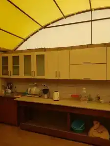 Мускат - 6