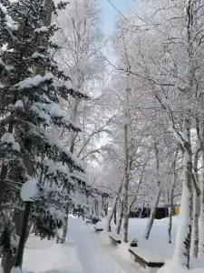 Лапландия - 4