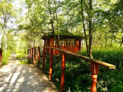 Лапландия - 3