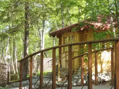 Лапландия - 6