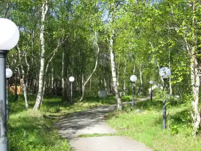 Лапландия - 7