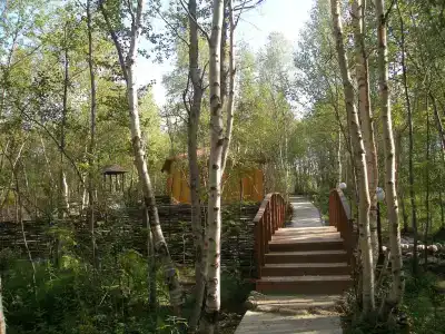 Лапландия - 8
