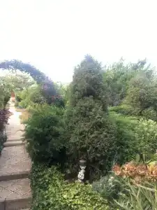 Мини-отель на Фонтанной 15 - 4