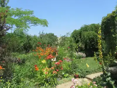 Мини-отель на Фонтанной 15 - 5