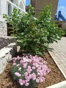 Билецкая - 2