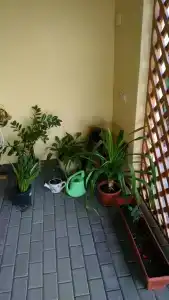 Приморский - 14