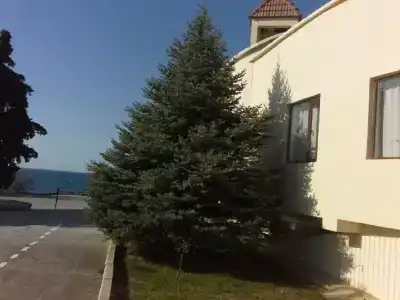 Аквапарк - 83