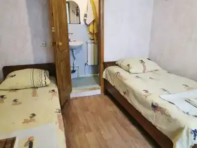 Сакура - 1