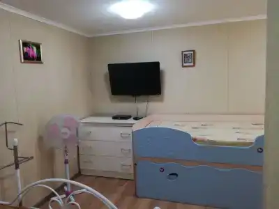 Сакура - 15