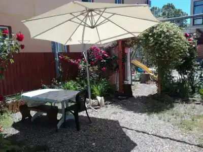 Сакура - 0