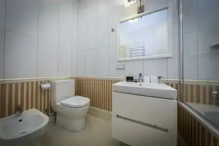 Пушкинский-дом - 87