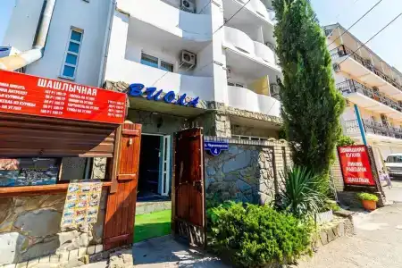 Виола - 0