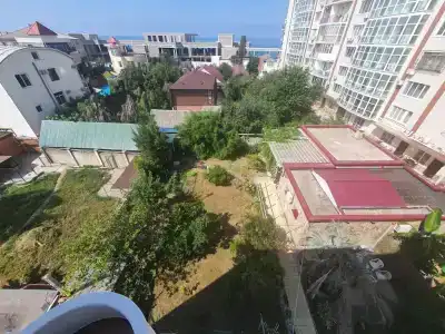 Туя - 2