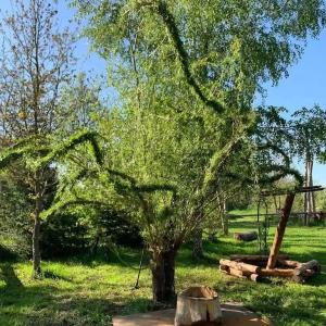 Уютный деревенский домик с русской баней возле озера в Большой Ухолоде - 11