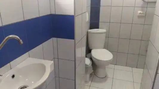 СимСим - 37