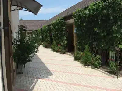 Александрия - 3