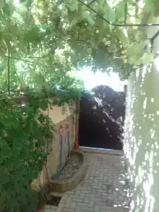 Александрия - 6