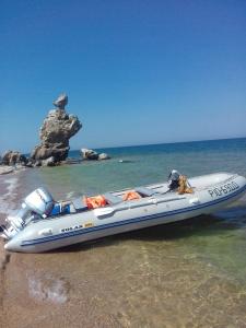 Александрия - 8