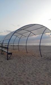 Александрия - 10