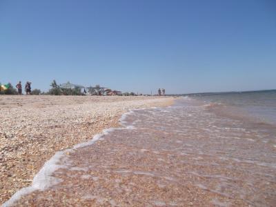 Александрия - 14