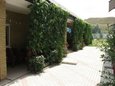 Александрия - 16