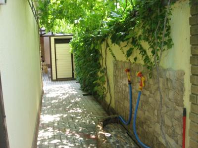 Александрия - 15