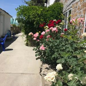 Усадьба Альпийский дворик - 4