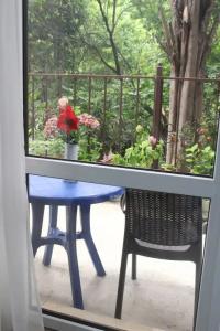 Sandro Palace Guest house - 57