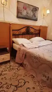 Старый кот - 2