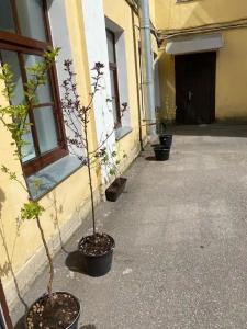 Instahostel on Fontanka - 9