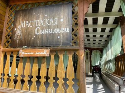 Синильга - 6