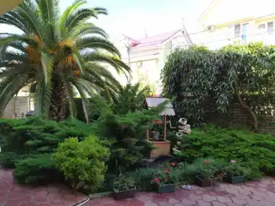 Джона - 0