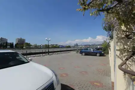 Страна Магнолий - 3